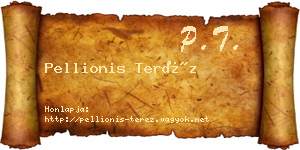 Pellionis Teréz névjegykártya